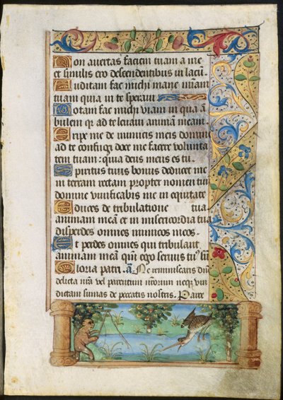Feuille d