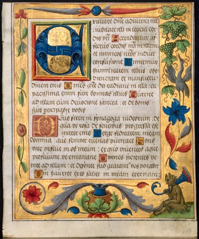 Feuille d