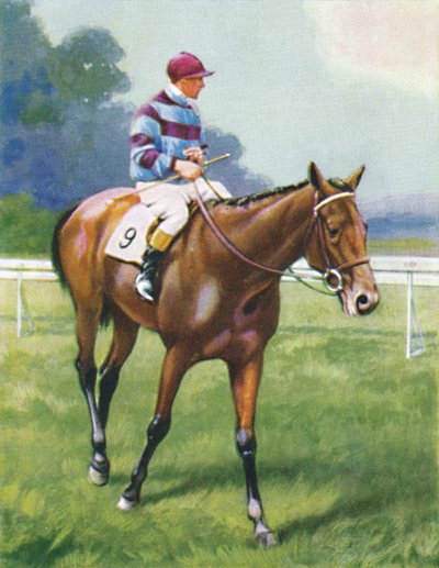 Légende de France, Jockey : A. Richardson, 1939 - Unbekannt