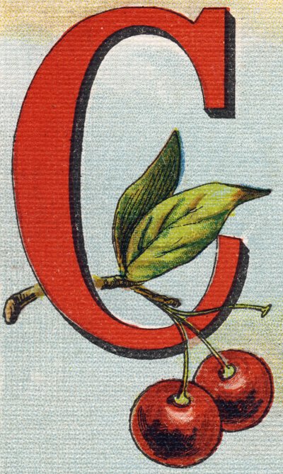Lettre C : cerises. Gravure dans "Alphabet de ma petite fille". Bernardin-Bechet et Fils, libraires-éditeurs, Paris, vers 1895. Album incassable sur toile. Bibliothèque des Bébés. 12 pages. Album contenant une méthode de lecture et un abécédaire illustrati - Unbekannt