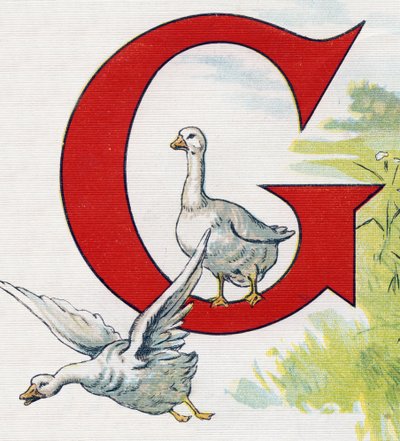 Lettre G : Bons canards. Gravure dans « ABC L