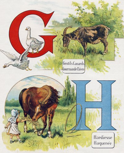 Lettres G et H : Bons canards, chèvre gourmande, audace et Haquenée. Gravure dans « ABC L