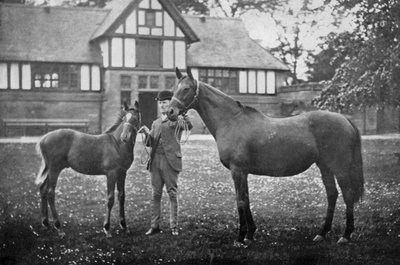 Lily Agnes, avec Orelio par Bend Or, gagnant de £4955, 1894 1938 - Unbekannt