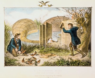 Décoy de canard du Lincolnshire, vers 1845 - Unbekannt