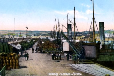 Chargement de pommes de terre, Jersey, 1908 - Unbekannt