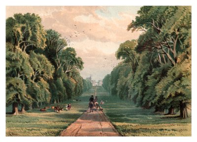 Long Walk, Windsor Park - Unbekannt