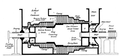 Section longitudinale d
