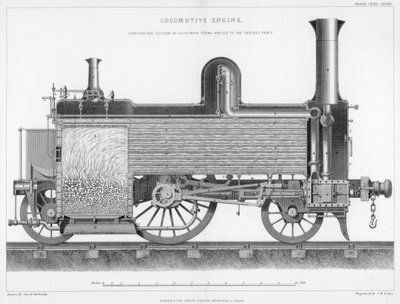 Section longitudinale d