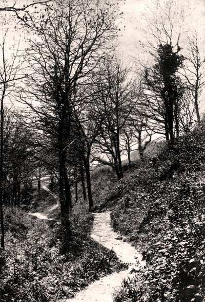 Lovers Lane, Fairlight, Hastings, Sussex - Unbekannt