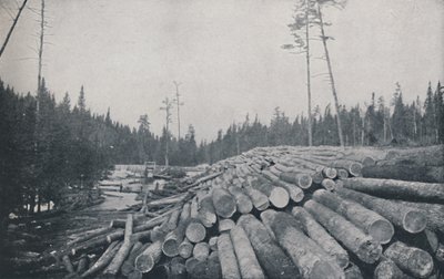 Exploitation forestière, 1924 - Unbekannt