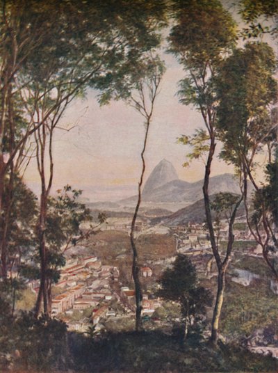 Bois luxuriants sur la colline de Santa Thereza surplombant les toits de Lapa, vers 1935 - Unbekannt