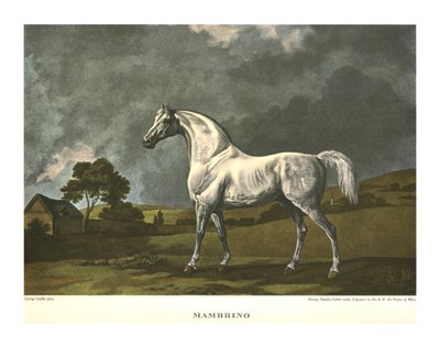 Mambrino, vers 1779, vers 1955 - Unbekannt