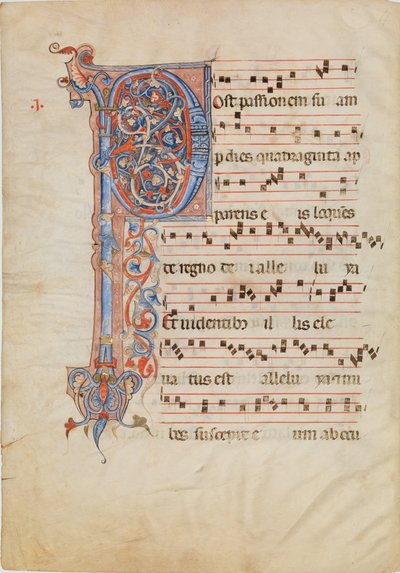 Feuille de manuscrit avec initiale foliée P, d