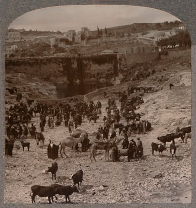 Jour de marché à la piscine de Gihon, vers 1900 - Unbekannt