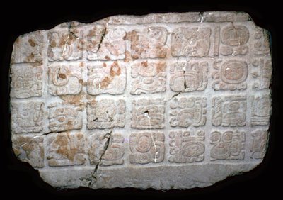 Hiéroglyphes mayas sur une partie d
