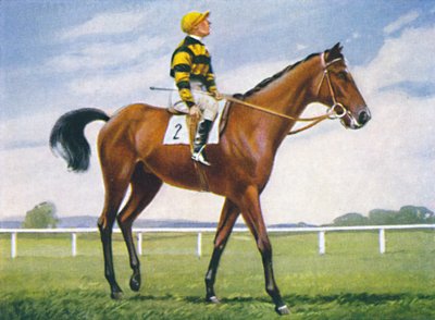 Meadow, Jockey: T. Weston, 1939 - Unbekannt