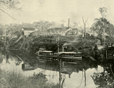 Usine de viande, près de Grafton, Nouvelle-Galles du Sud, 1901 - Unbekannt