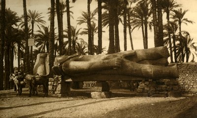 Memphis - La statue colossale de Ramsès II - Unbekannt