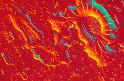 Micrographies (Lumière) Acier inoxydable avec dépôt de silice colloïdale - Unbekannt
