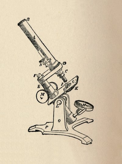 Microscope, 1912 - Unbekannt