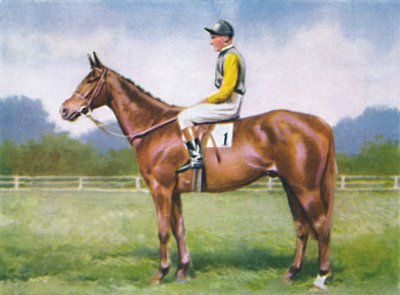 Code Morse, jockey : D. Morgan, 1939 - Unbekannt