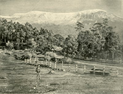 Mont Wellington, depuis la route de Huon, 1901 - Unbekannt