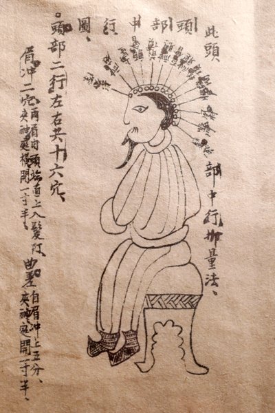 Musée de la Médecine Traditionnelle Vietnamienne, Les canaux et vaisseaux, Livre d