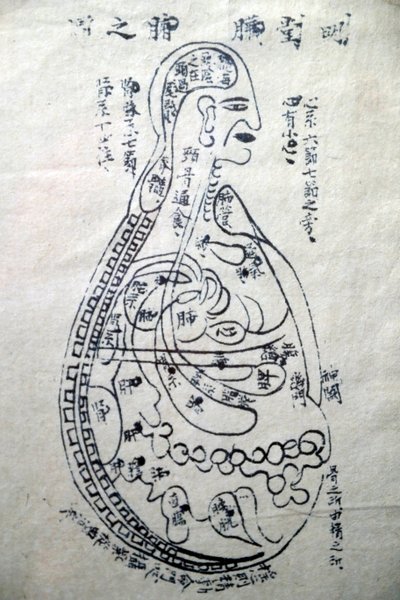 Musée de la médecine traditionnelle vietnamienne, Les canaux et vaisseaux, Livre d