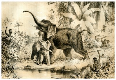 Autochtones harponnant un éléphant, 1883 - Unbekannt