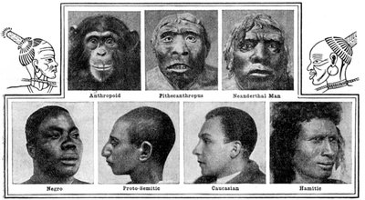 Les conceptions évolutives de la nature dans les nez, 1922 - Unbekannt