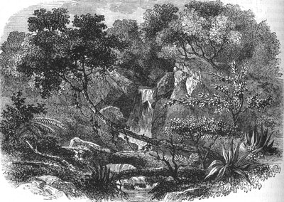 Paysage de Nouvelle-Zélande, vers 1880 - Unbekannt
