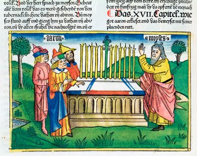 Nombres 17:1-11 : Le bâton d