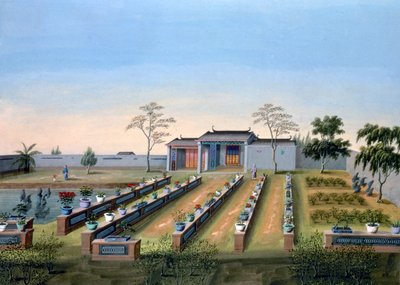 Jardin de pépinière, Chine, vers 1820-1840 - Unbekannt