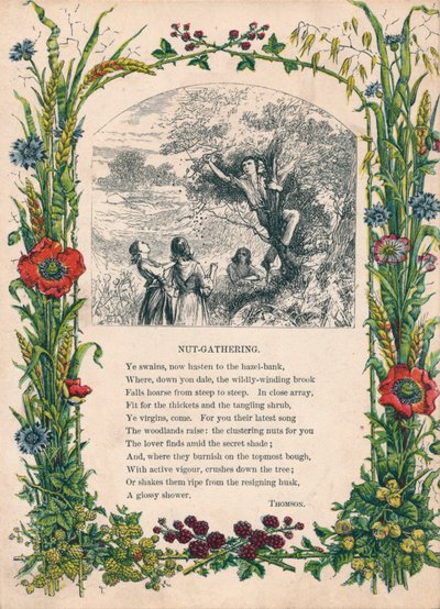 Récolte de noix, par Thomson, vers 1900 - Unbekannt