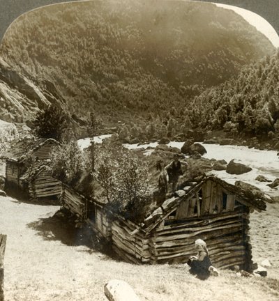 Vieilles maisons en rondins à Bratslandsdal, avec des arbres poussant sur des toits recouverts de gazon, Norvège, vers 1905 - Unbekannt