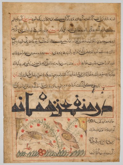 Des bienfaits des cailles verso de Manafi al-Hayawan..., vers 1300 - Unbekannt