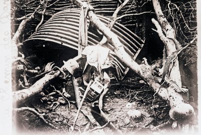Sur le Chemin des Dames, nord de la France, vers 1914-1918 - Unbekannt