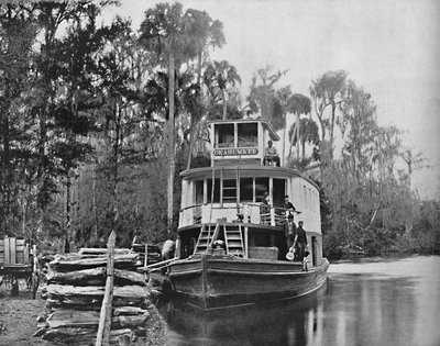 Sur la rivière Ocklawaha, Floride - Unbekannt