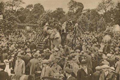 Un des signes de notre civilisation : Jardins zoologiques bien garnis pour ravir les curieux, c193 - Unbekannt
