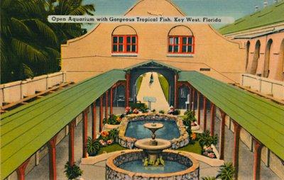 Aquarium ouvert avec de magnifiques poissons tropicaux, Key West, Floride, vers 1940 - Unbekannt