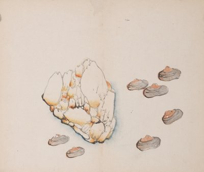 Page de Shi Zhu Zhai - Unbekannt