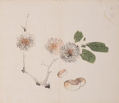 Page de Shi Zhu Zhai - Unbekannt