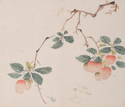 Page de Shi Zhu Zhai - Unbekannt
