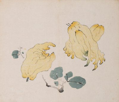 Page de Shi Zhu Zhai - Unbekannt