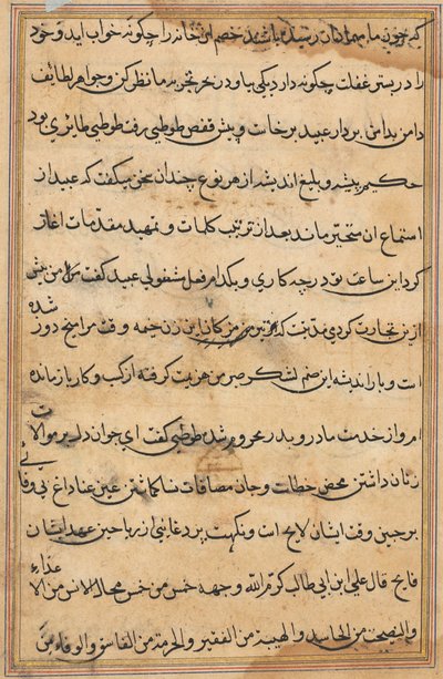 Page du Tuti-nama : page de texte - Unbekannt