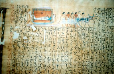 Papyrus d