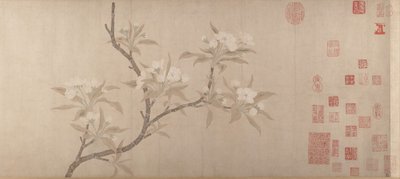 Fleurs de poirier - Unbekannt
