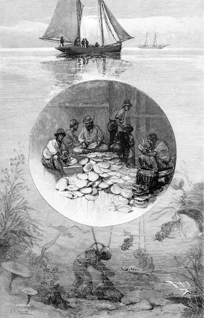Pêche de perles, détroit de Torres, Australie, 1886 - Unbekannt