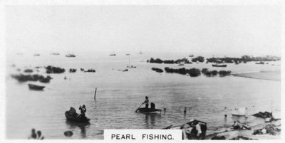 Pêche de perles, Australie, 1928 - Unbekannt