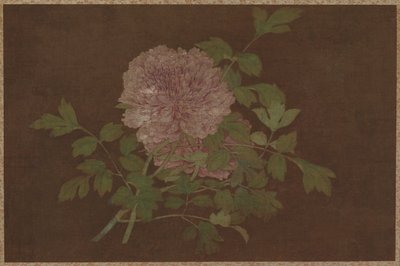 Pivoines, XVe siècle - Unbekannt